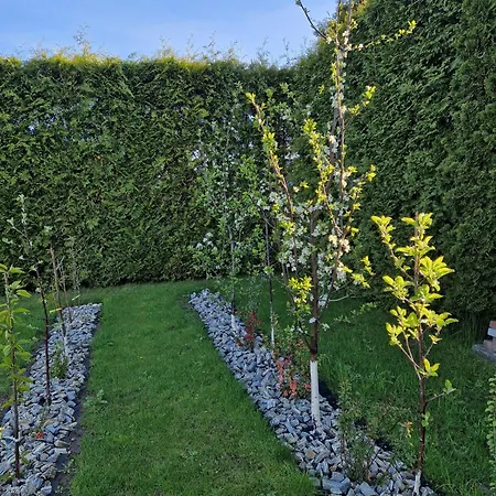 Szary Odpoczynek Na Pietrze - Wies