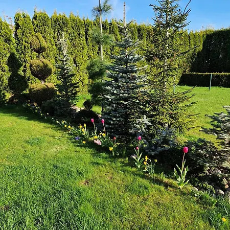 Szary Odpoczynek Na Pietrze - Wies Pogórze