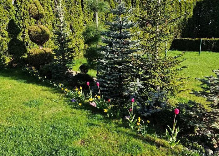 Szary Odpoczynek Na Pietrze - Wies Pogorze